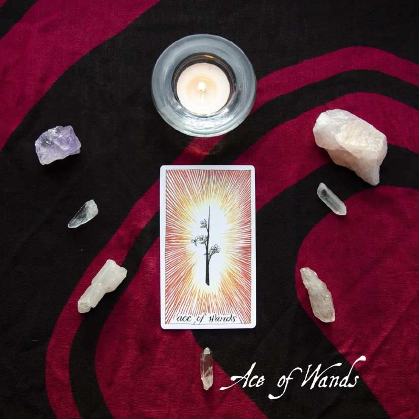 Ace of Wands